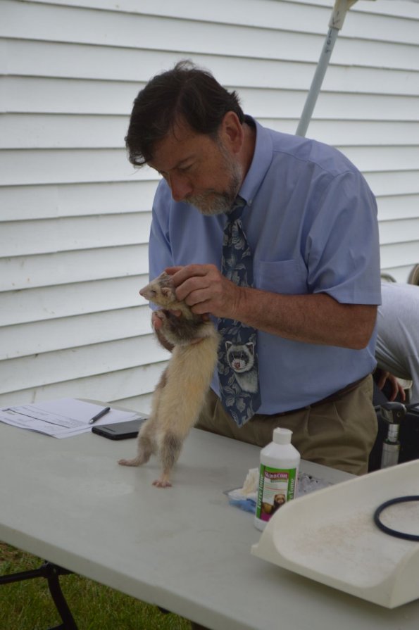 Vet with Charlie & Gus (3)