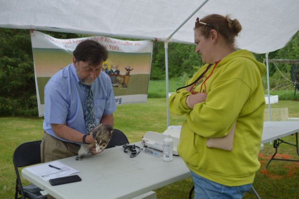 Vet with Christine & Fred (1)